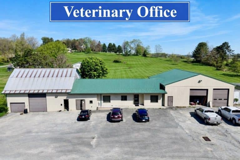 Veterinary Inspection